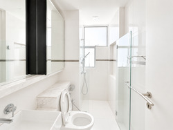 The Chuan (D19), Condominium #564408821